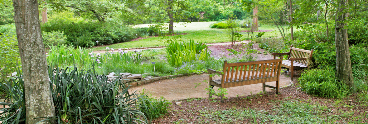 Coker Arboretum Chapel Hill Recorder